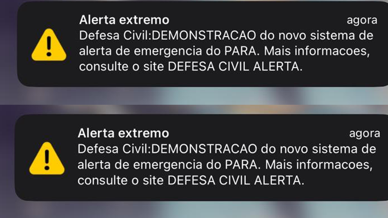 Sem Titulo 1 11