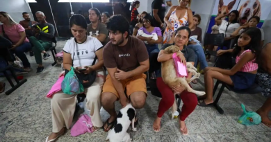 Hospital Veterinário de Belém registra mais de 200 atendimentos em seu dia de estreia