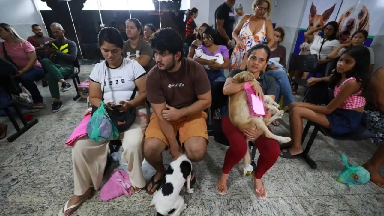 Sem Titulo 1 9